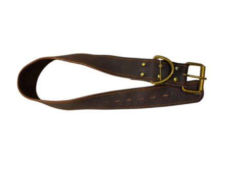 Dog Leather Collar