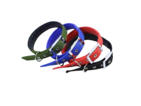 Dog Soft Collar