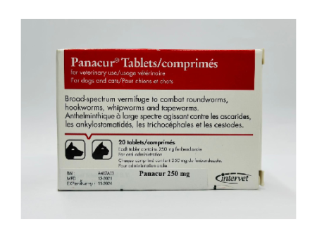 PANACUR 250MG FOR DOGS AND CATS
