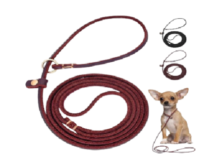 Leather Choke Leash for Dogs