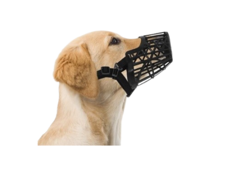 Plastic Muzzle for Dogs