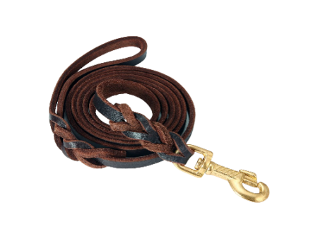 GSD Long Leather Leash