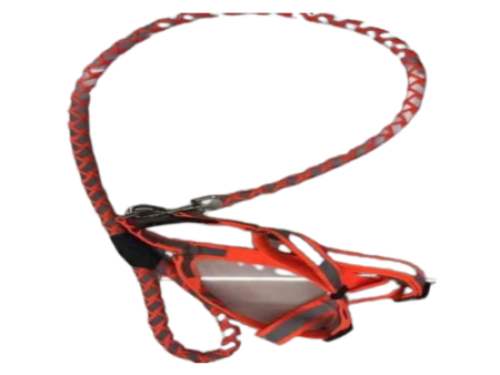 Round Leash with Harness