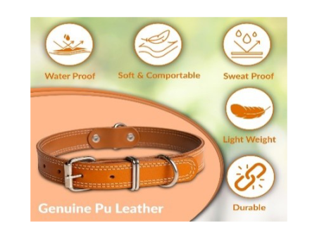 Light Brown Leather Collar