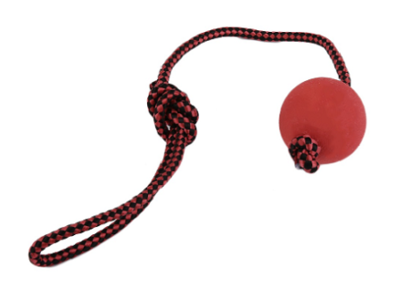 Dog Red Rope Ball Toy