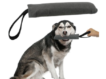 Dog Training Toy