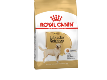 Royal Canin Labrador Adult Dry Dog Food