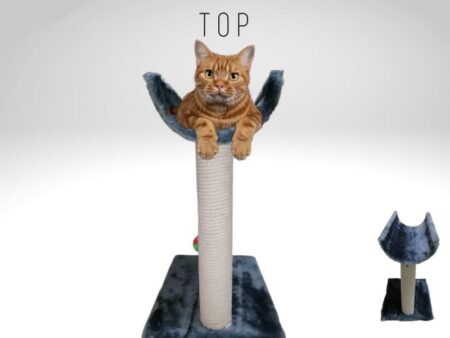 Scratching Post (Curve Top)