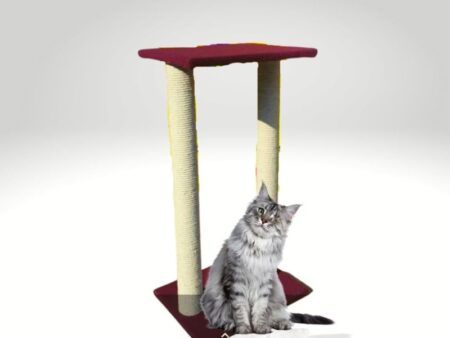 Double Pole Scratching Post