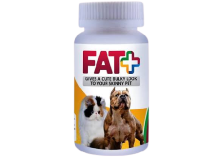 Fat + High Calories Supplement | Gives Bully Look To Thin Pets
