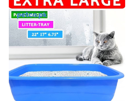 Litter Tray