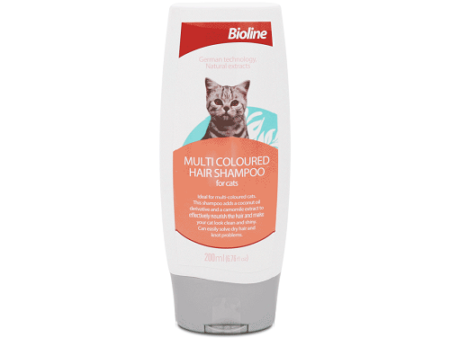 Multi-Coloured Shampoo Bioline