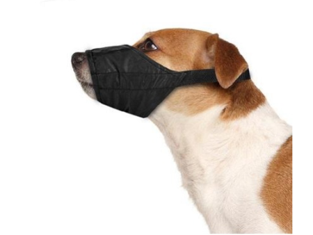 Muzzle Chipkas Local