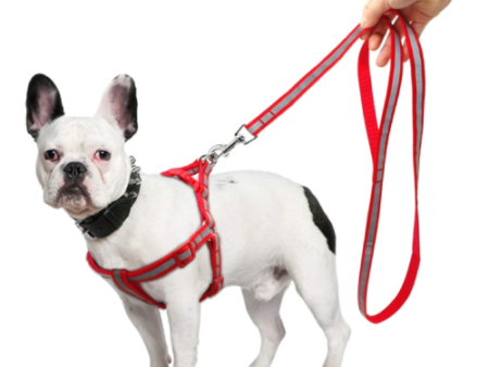 Reflective Dog Harness