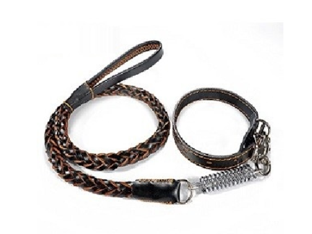 Leather Dog Leash & Collar Set