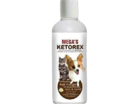 Ketorex Shampoo for Skin Problems
